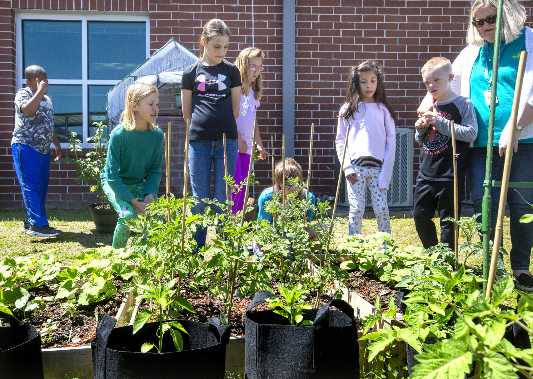 Dorchester Hydrophonic Gardens